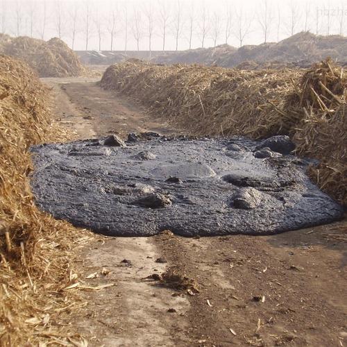 如何进行污泥干化处理?深入了解污泥干化处理的工艺流程