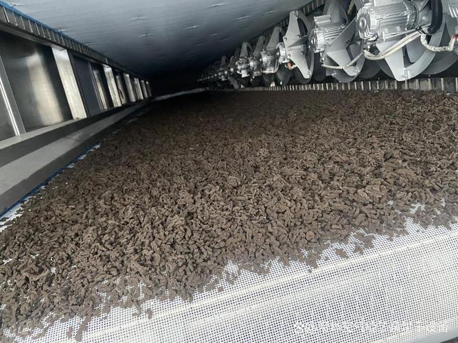 常用的污泥干化工艺